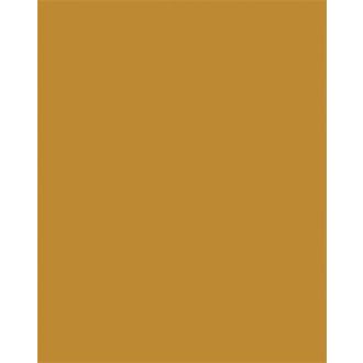 Színes papír, A3, 130 g, 50 lap, FOLIA, terrakotta