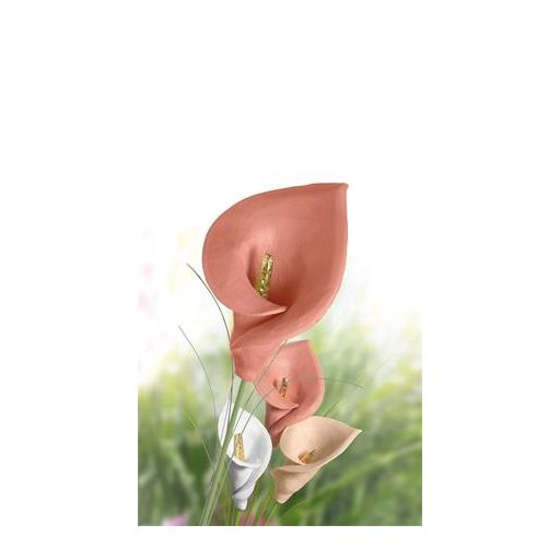 Gyurma, 500 g, levegőre száradó, FIMO "Air Basic", bőrszín