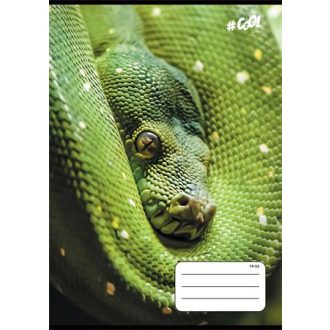   Füzet, tűzött, A5, vonalas, 32 lap, 1. osztály, COOL BY VICTORIA, "Animals", 14-32