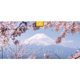 Naptár, asztali, álló, DAYLINER "Képes világ"