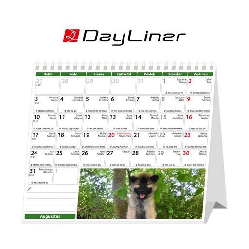 Naptár, asztali, álló, DAYLINER "Kutyák"