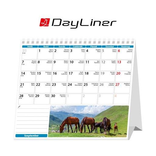 Naptár, asztali, álló, DAYLINER "Lovak"