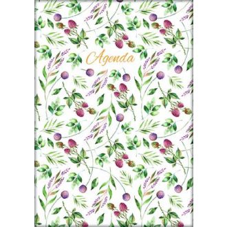   Naptár, tervező, A5, napi, DAYLINER, "Colors", Berries