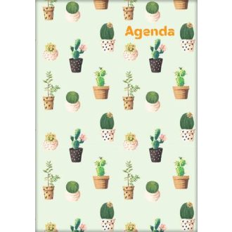   Naptár, tervező, A5, heti, DAYLINER, "Colors", Cactus
