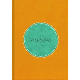   Naptár, tervező, A5, napi, DAYLINER "Central", sárga-türkiz