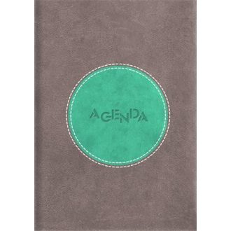   Naptár, tervező, A5, napi, DAYLINER "Central", szürke-türkiz