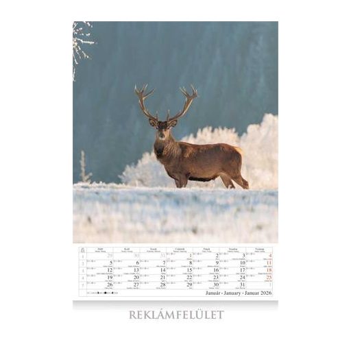 Naptár, fali, CSG "Vadász a Kárpát-medencében"