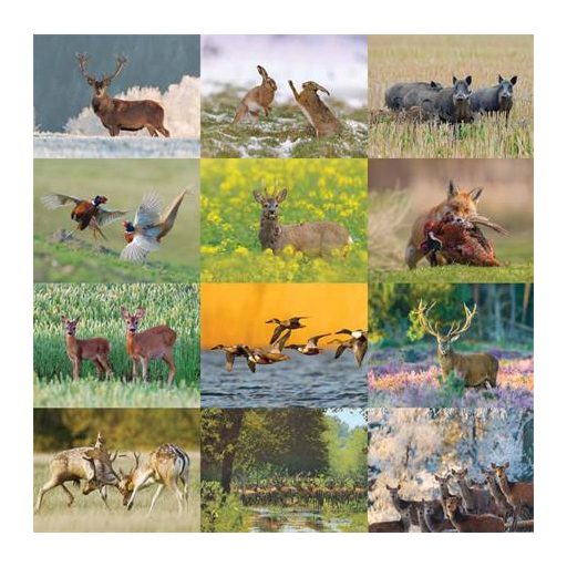 Naptár, fali, CSG "Vadász a Kárpát-medencében"