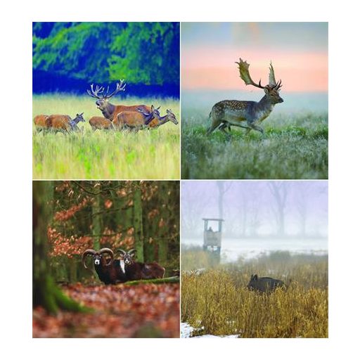 Naptár, fali, CSG "Vadász a Kárpát-medencében"