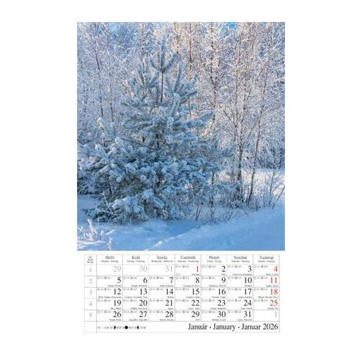 Naptár, fali, CSG "Erdeink világa"