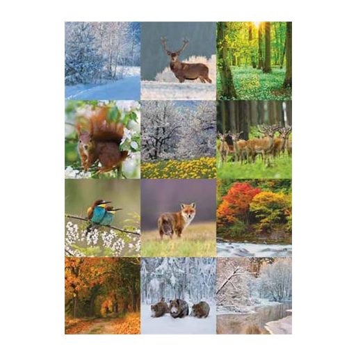 Naptár, fali, CSG "Erdeink világa"