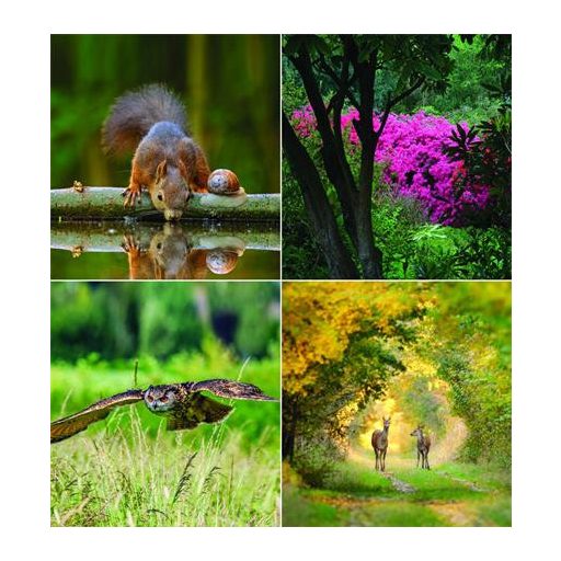 Naptár, fali, CSG "Erdeink világa"