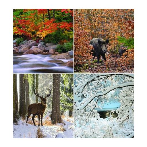 Naptár, fali, CSG "Erdeink világa"