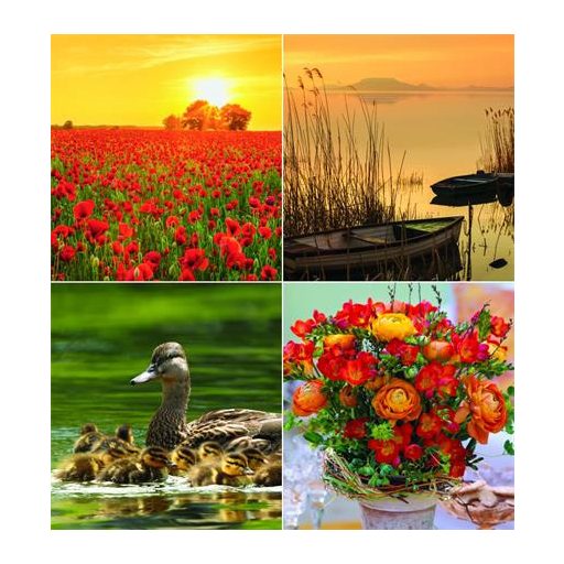 Naptár, fali, CSG, "Négy évszak"