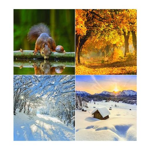 Naptár, fali, CSG, "Négy évszak"