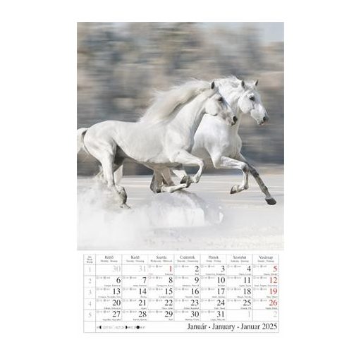 Naptár, fali, CSG "Lovak"