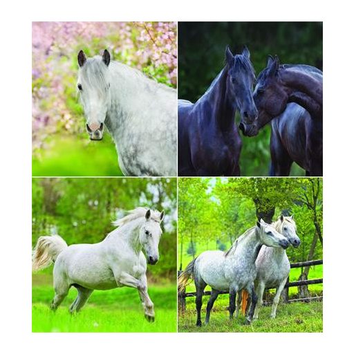 Naptár, fali, CSG "Lovak"