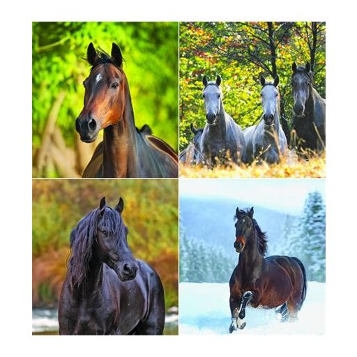 Naptár, fali, CSG "Lovak"