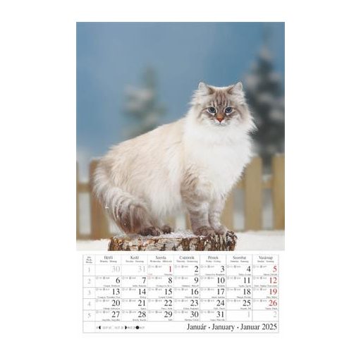 Naptár, fali, CSG, "Cicák"