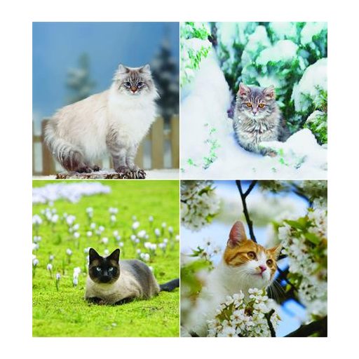 Naptár, fali, CSG, "Cicák"