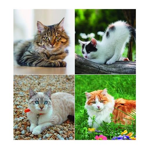 Naptár, fali, CSG, "Cicák"