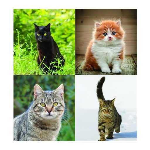 Naptár, fali, CSG, "Cicák"