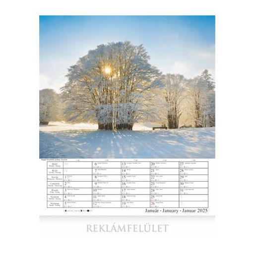 Naptár, fali, CSG "Jó reggelt" 