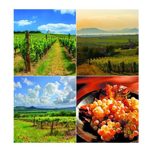 Naptár, fali, CSG "Borvidék"