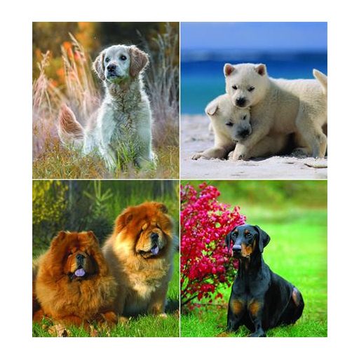 Naptár, fali, CSG "Kutyák"