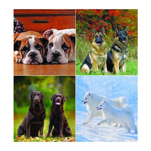 Naptár, fali, CSG "Kutyák"