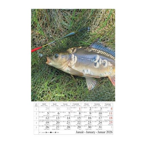 Naptár, fali, CSG "Horgász" 