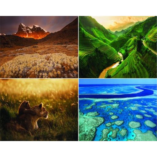 Naptár, fali, CSG, "Alkotó természet"