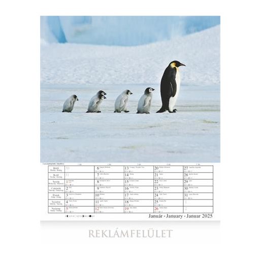 Naptár, fali, CSG, "Csodálatos bolygónk"