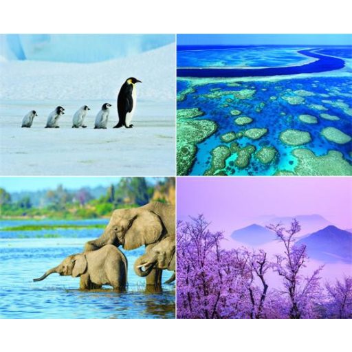 Naptár, fali, CSG, "Csodálatos bolygónk"