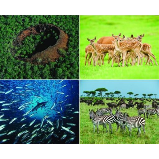 Naptár, fali, CSG, "Csodálatos bolygónk"