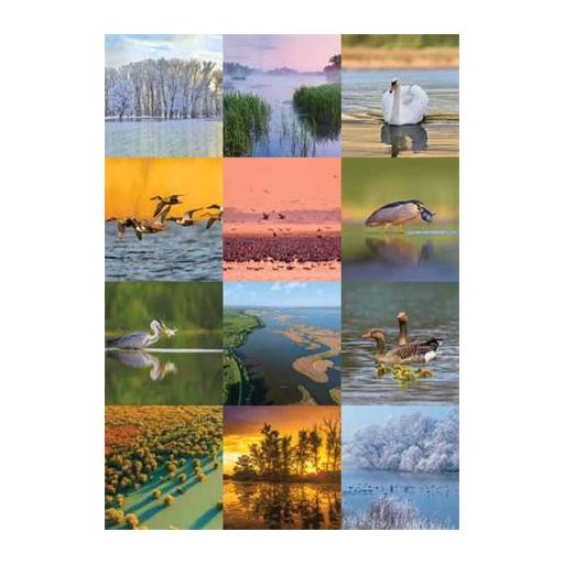 Naptár, fali, CSG, "Vizeink"