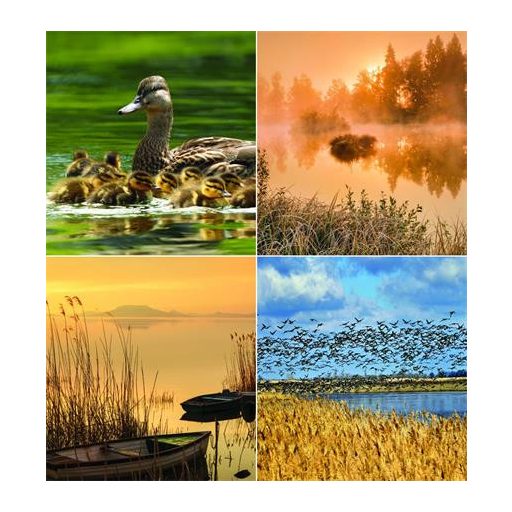 Naptár, fali, CSG, "Vizeink"