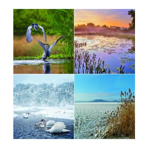 Naptár, fali, CSG, "Vizeink"