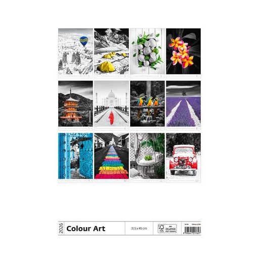 Naptár, fali, DAYLINER "Colour Art"