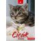 Naptár, fali, DAYLINER, "Cicák"