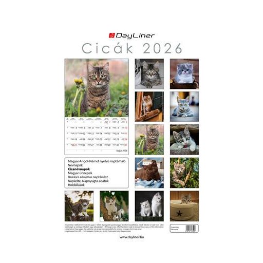 Naptár, fali, DAYLINER, "Cicák"
