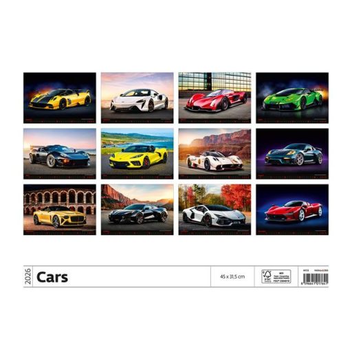 Naptár, fali, DAYLINER, "Cars"