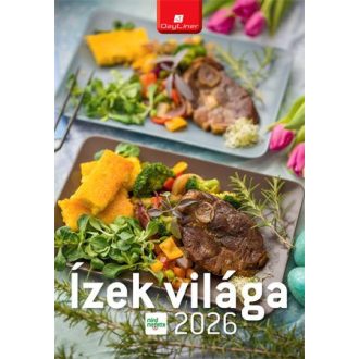   Naptár, fali, DAYLINER "Ízek világa - Mindmegette"