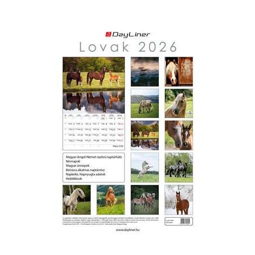 Naptár, fali, DAYLINER, "Lovak"