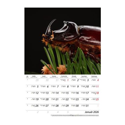 Naptár, fali, DAYLINER, "Macro Lens"