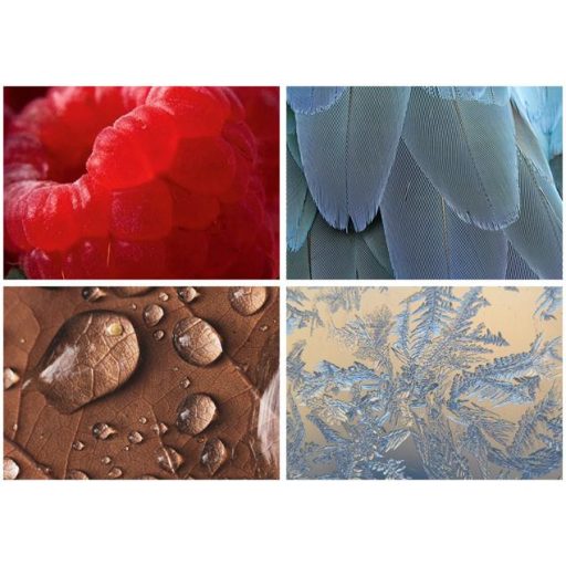 Naptár, fali, DAYLINER, "Macro Lens"