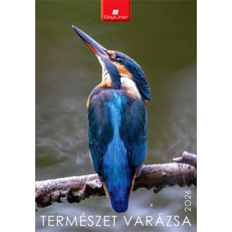 Naptár, fali, DAYLINER, "Természet varázsa"