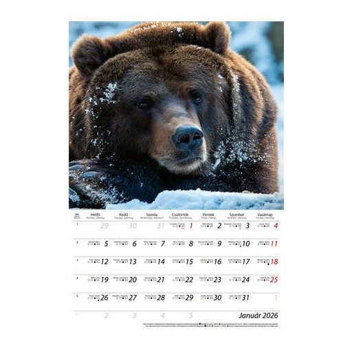 Naptár, fali, DAYLINER, "Vadászat"