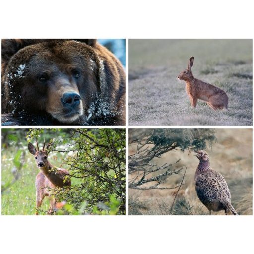 Naptár, fali, DAYLINER, "Vadászat"