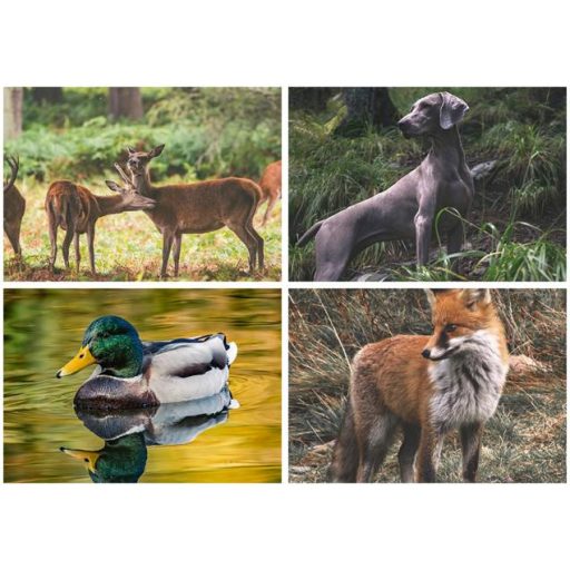 Naptár, fali, DAYLINER, "Vadászat"